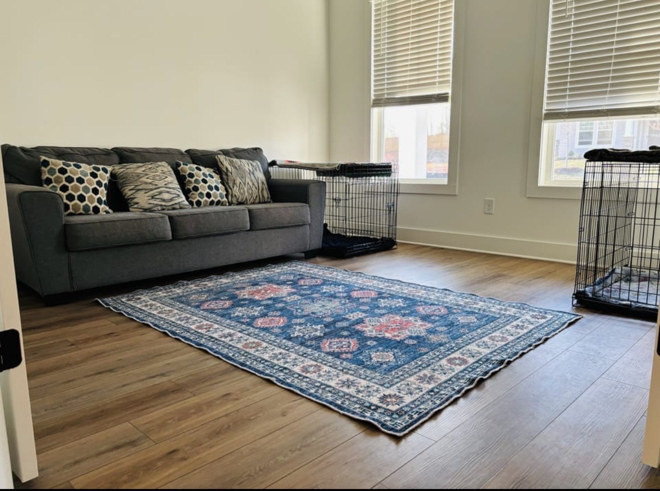 Room with a gray couch, rug, and two dog crates