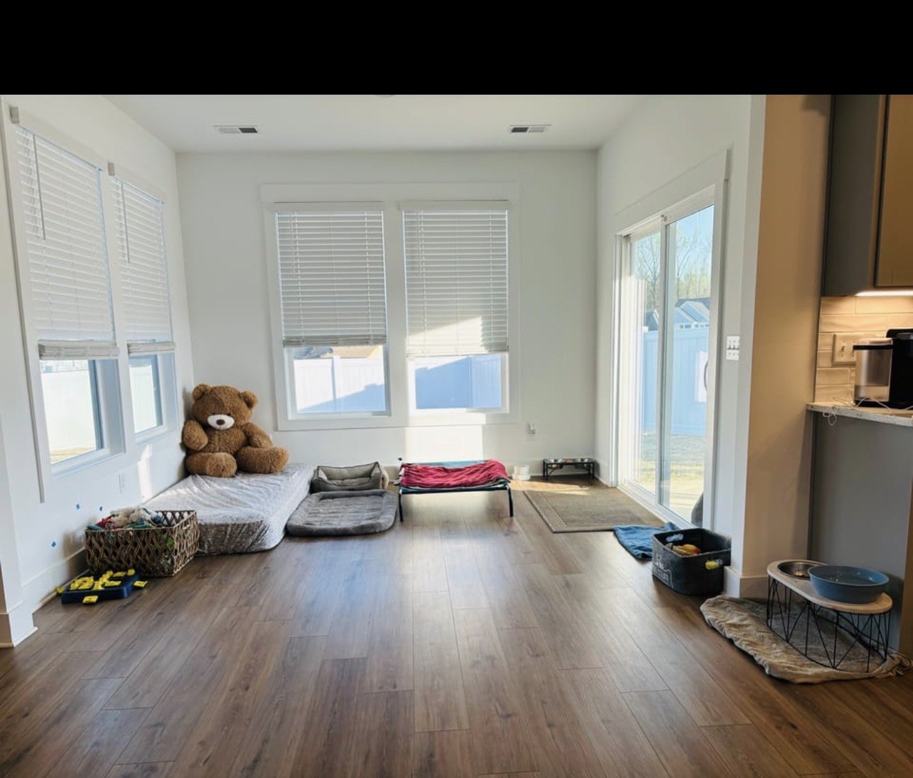 Empty playroom with dog beds, a teddy bear, and water bowls