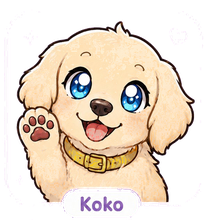Koko