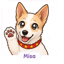 Misa