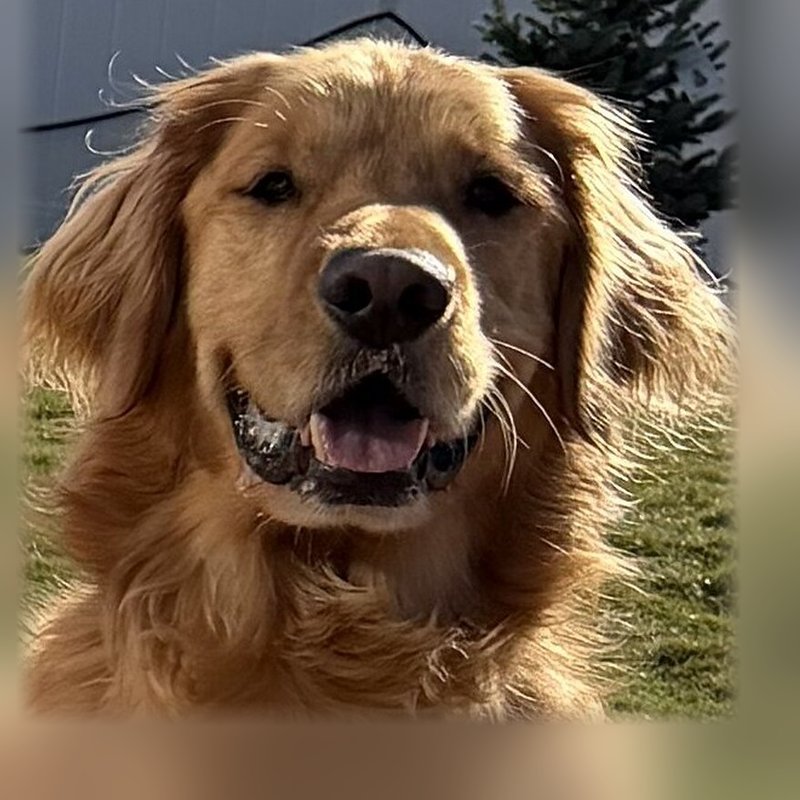 Atlas smiling
