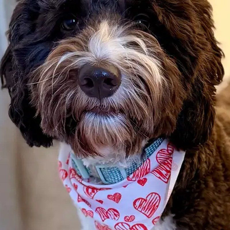 Millie