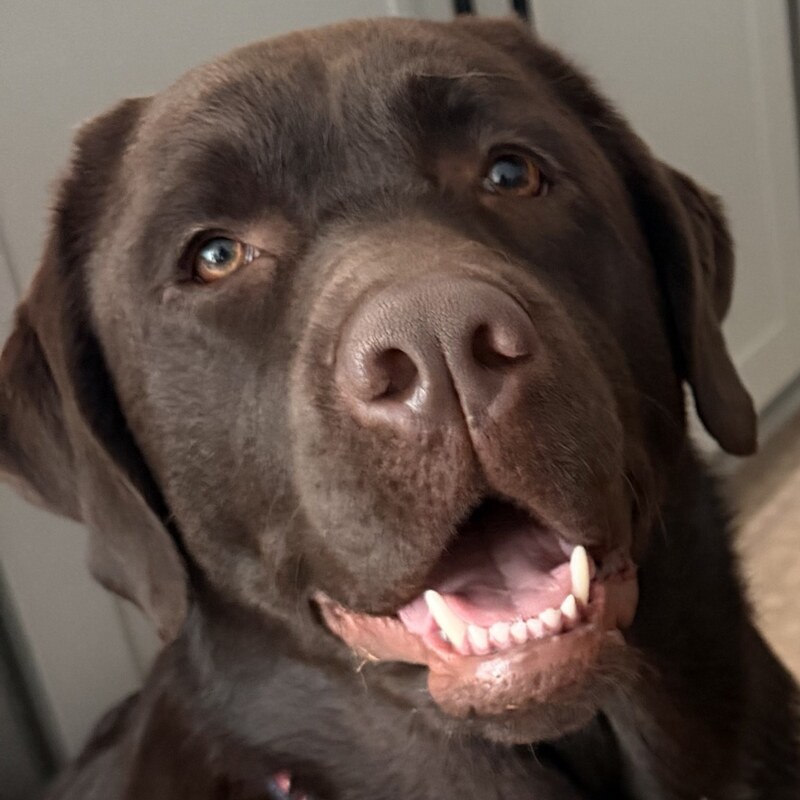 Kimber