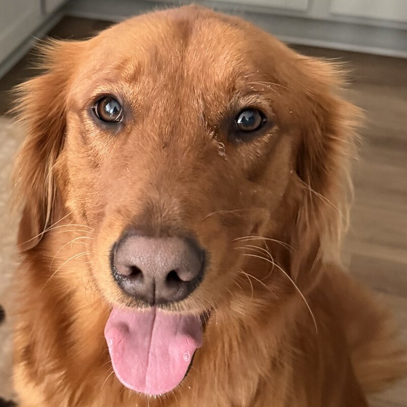 Maggie